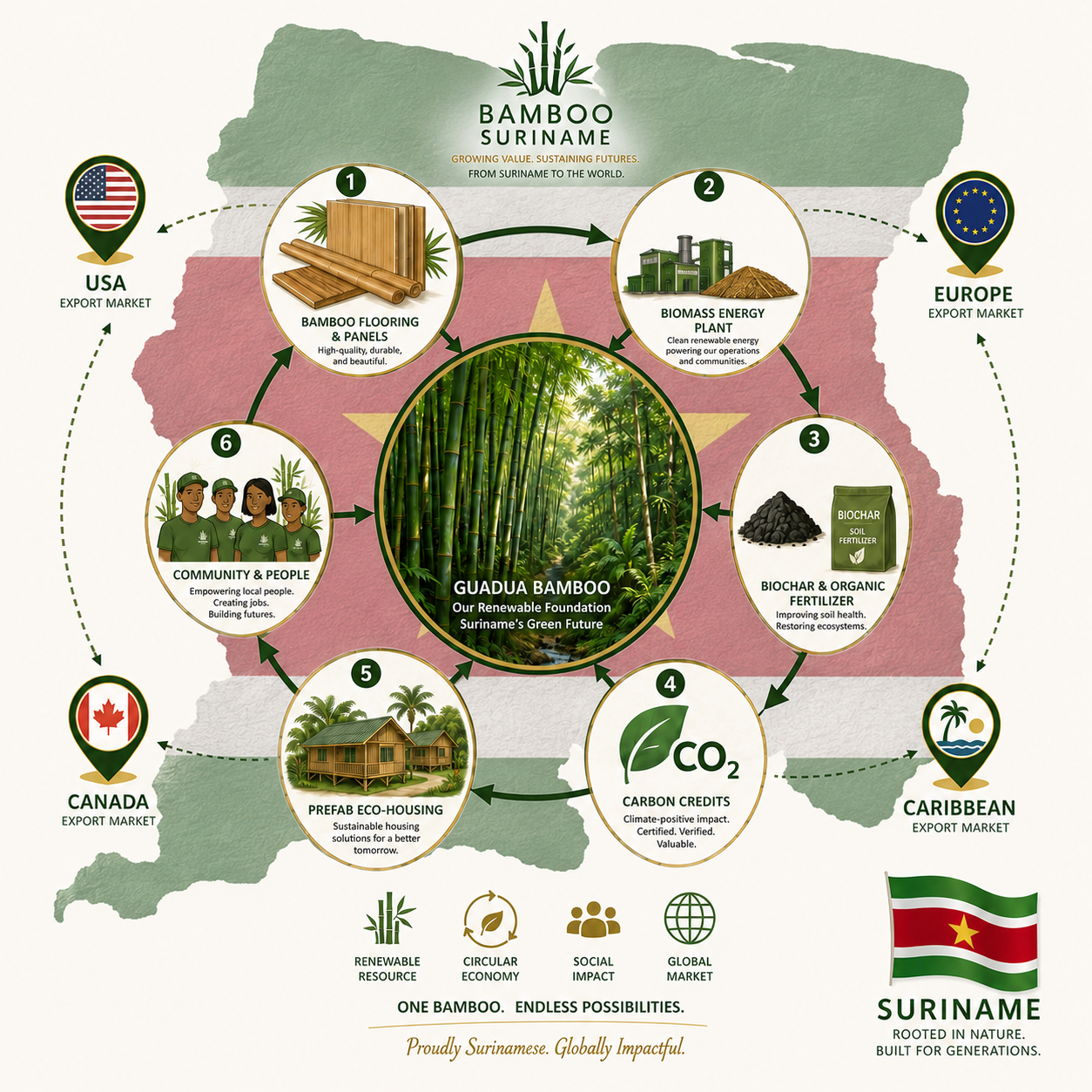 Bamboo Suriname — Guadua bamboo flow diagram: cultivation across Suriname feeding flooring & panels, biomass energy, biochar, carbon credits, and prefab eco-housing, with USA, Canada, Europe and Caribbean export markets